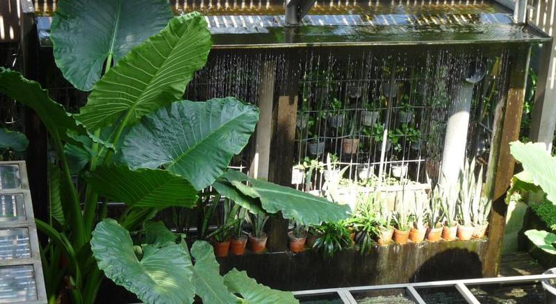 Rumah Turi Eco Boutique Hotel Surakarta  Ngoại thất bức ảnh